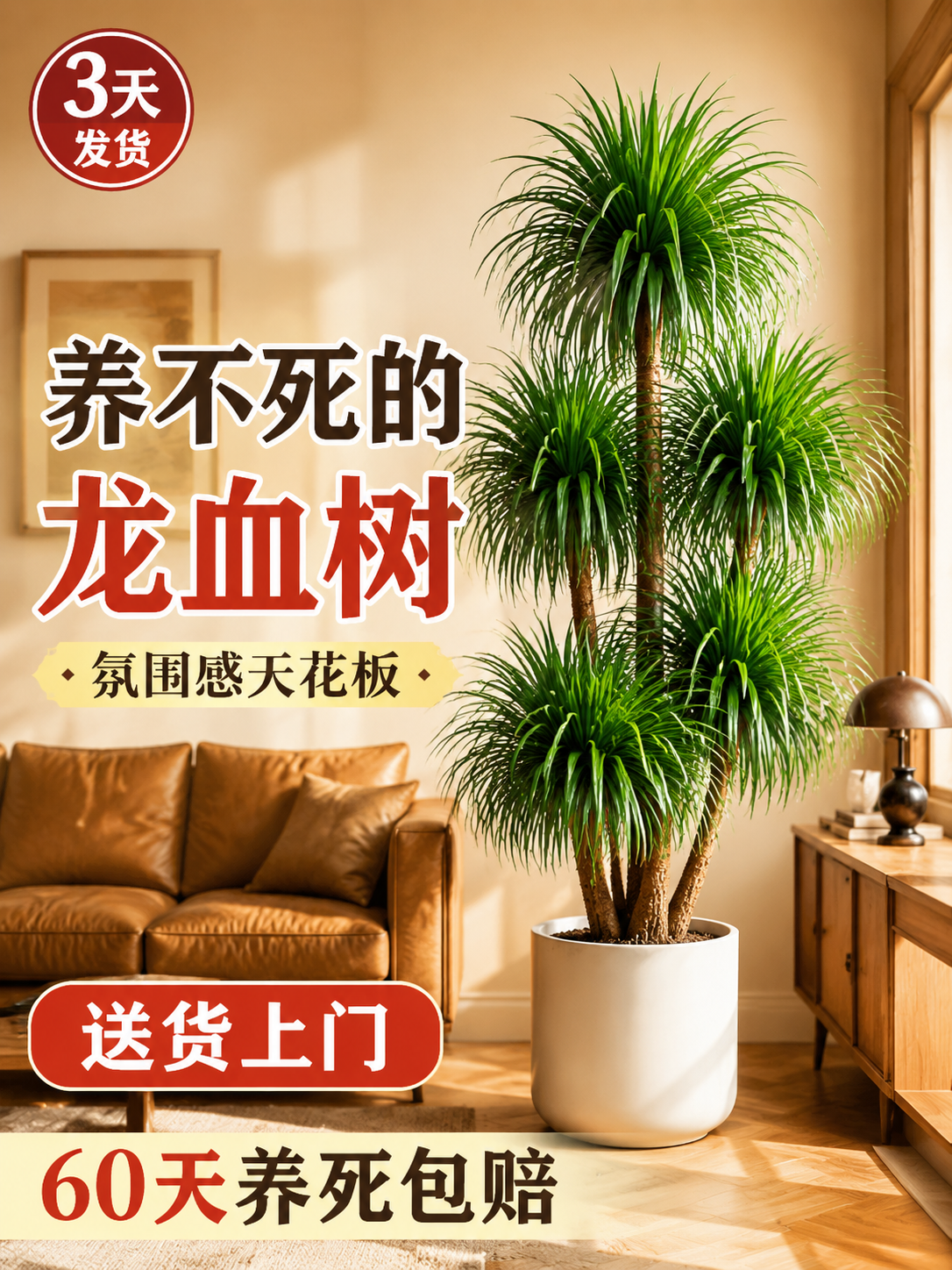 淘宝天猫电商主图，3:4竖版，室内家居场景，客厅背景，一盆大型… - 图片创意预览