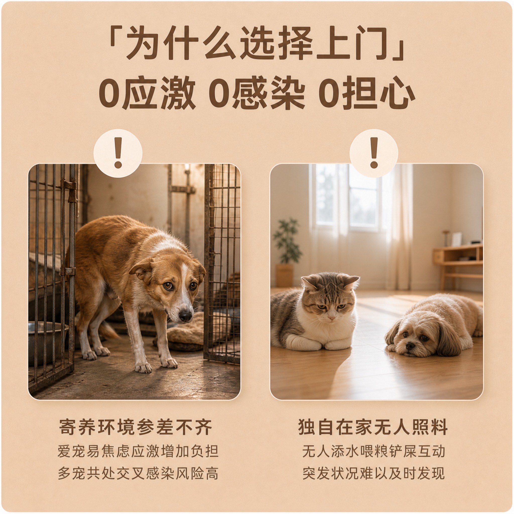 [单张主图] 宠物上门喂养照料服务主图，爆款痛点共鸣型路线，复… - 图片创意预览