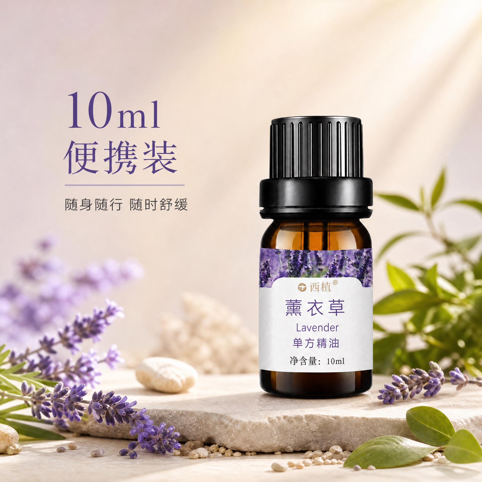SKU规格图，10ml薰衣草单方精油，与之前主图风格一致。京东… - 图片创意预览