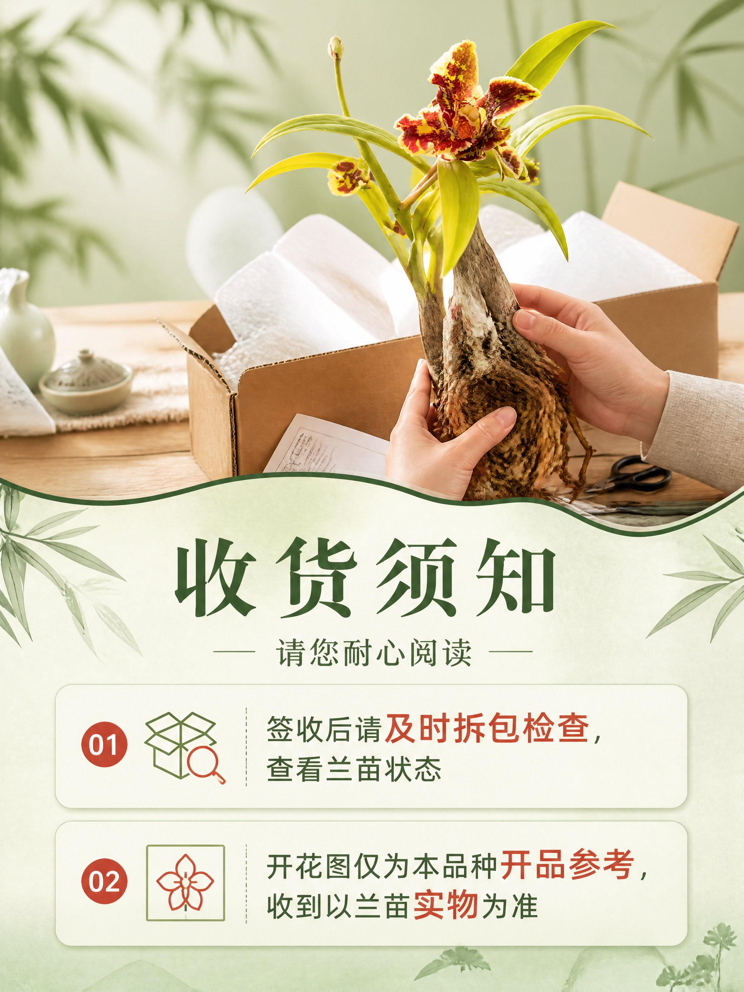 [商品] 使用【图1】大叠彩兰花；保留兰花品种特征和颜色；展示… - 图片创意预览