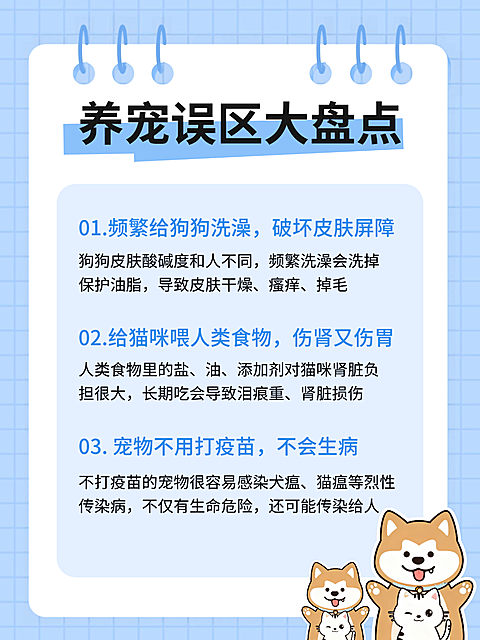养宠误区科普清新治愈风小红书配图