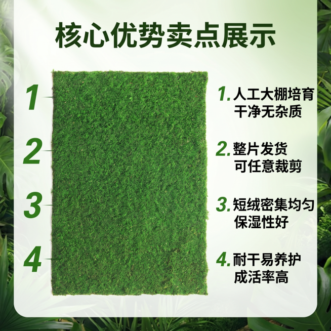 [主图 2] 微观造景短绒藓核心优势卖点展示图，自然丛林风格。保持短绒藓产品外观、物理结构、材质质感和颜色与输入产品图绝对一致，杜绝任何变形和色差，精细化处理。短绒藓整片产品平铺展示，围绕产品用数字序预览效果