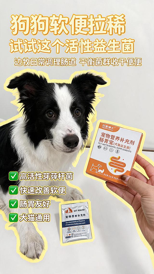 「图片1」    属于产品图片，参考         「图片1」                         这种图片，痛点：宠物频繁软便、拉稀，肠道菌群失衡，便便不成形
卖点：多株高活性芽孢杆菌+复合菌群，活菌含量充足，快速平衡肠道菌群，收敛软便，稳固粪便形态
使用场景：日常居家喂养，宠物饮食杂乱、经常性软便时，拌粮日常饲喂调理，制作10张适合小红书的封面图片，还要和不同猫狗独影作为合影。尺寸：9:16