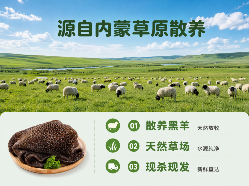 [第2屏] 内蒙黑羊肚产地优势展示屏。
[氛围/风格] 自然草原风光，开阔大气，原生态无污染氛围，真实摄影质感。
[元素布局] 本屏不使用产品图，上方三分之二区域展示内蒙呼伦贝尔草原实景，蔚蓝天空配绿预览效果