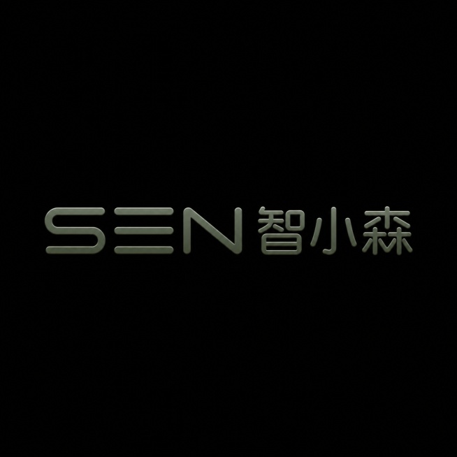 干净的纯黑色背景。3D艺术字体设计，品牌logo设计，包含字母"SEN"与文字"智小森"，字母与文字整体单行横向排列。现代极简风格，纤细圆角无衬线字体，几何圆角重构，哑光金属深绿色材质。整体风格简洁大预览效果