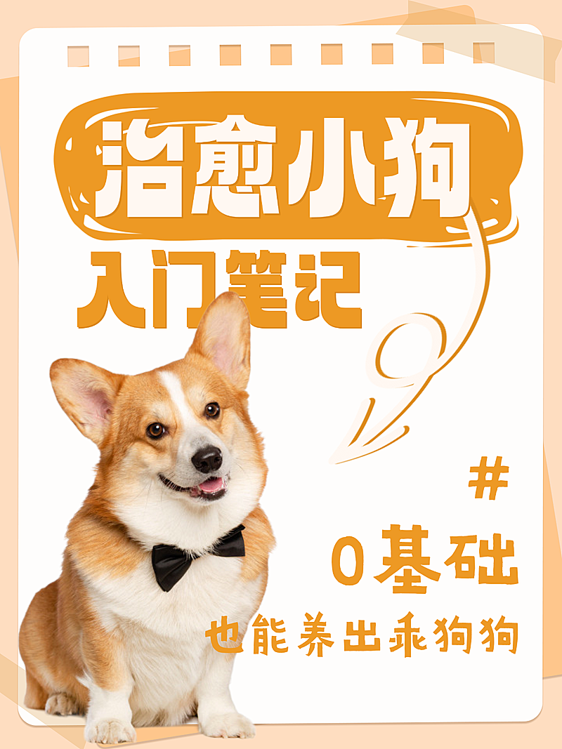 养宠日常分享养宠攻略分享大字小红书封面