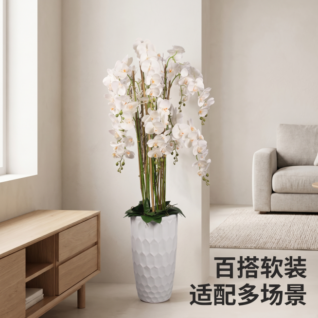[主图 7] 客厅场景搭配展示主图，展示白色款蝴蝶兰软装效果。[氛围/风格] 简约北欧客厅场景，温馨自然治愈感，商业摄影质感，光线柔和通透，产品清晰真实，画面干净高级。[元素/光影] 白色蝴蝶兰盆栽摆预览效果