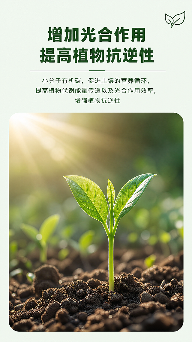 使用商品详情页技能根据商品图「图片1」生成1套详情页，参考图为「图片1」「图片1」「图片1」「图片1」「图片1」「图片1」「图片1」「图片1」「图片1」，商品名称为 ，卖点为使用商品场景图技能生成5张比例9:16的场景图，商品为，参考图为，参考相似度为80%，其他要求为按照参考图生成图片，产品介绍原艺④号 花居美翠®NMC 中量元素水溶肥 酶解多肽螯合钙镁 黄叶转绿、加速生长、速补钙镁、 逆境修复、预防弯头、憨包花 生长期、缺素期 原艺Ⓧ号 花居墨翠®花卉开花生根液 有机水溶肥 泡叶藻提取物+ 小分子改性腐殖酸 生根抗逆、促花保果、快速膨大、 提升免疫力 全生育期 原艺Ⓨ号 花居云翠®生物免疫激活剂 含氨基酸 微量元素水溶肥 酶解改性多肽+ 17种氨基酸+微量元素 精准调控、逆境修复、快速生长 保花保果 全生育期，这是我们所有产品的介绍，你可以按这个来，适配平台为抖音/快手，图片比例为9:16，需求屏数为8张，其他要求为所有的图片只写卖点，不放具体得产品，然后产品的配图必须是真实的绿植，配色好看鲜艳。不要有错别字，所有的图片能适配不同的产品。你参照参考图来复刻。