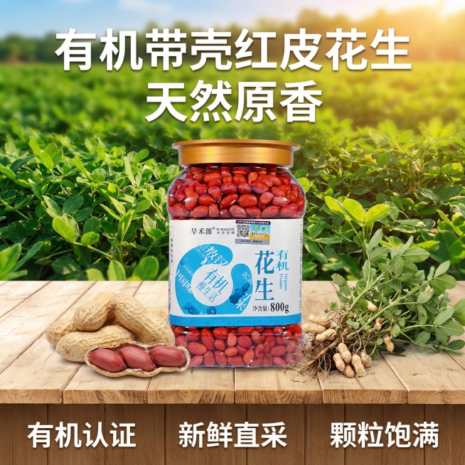 对话图片




帮我生成6张电商主图,室外背景是花生种植田园,产品放在桌子上,桌子上摆放着拔出来的花生和枝叶,花生是摘下来的带壳花生,有个带壳剥开后四颗并排的红皮花生整体预览效果