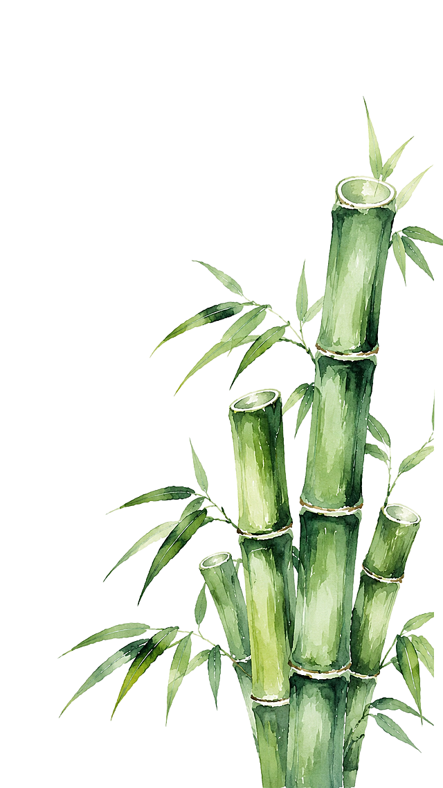 参考国风水彩风格，画几根粗壮成熟的绿色竹子，竹节上伸出绿色的叶子，竹子有长有短，保留竹子和叶片自然形态，画面留有大量留白，纯白色背景，不添加任何文字