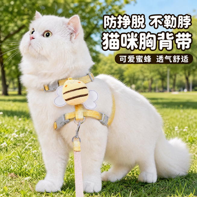 「图片1」第一图片需要把背带放在猫咪后面 图片的背景色需要有场景感 比如公园 室外之类的 场景感要强 其他都可以预览效果