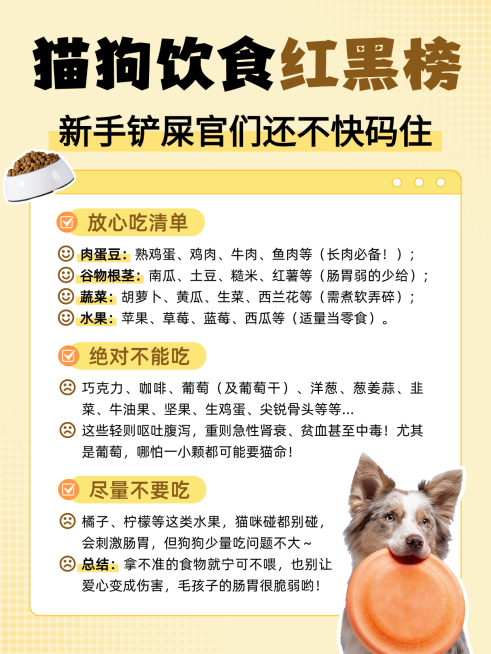 扁平风猫狗饮食红黑榜知识分享小红书配图预览效果