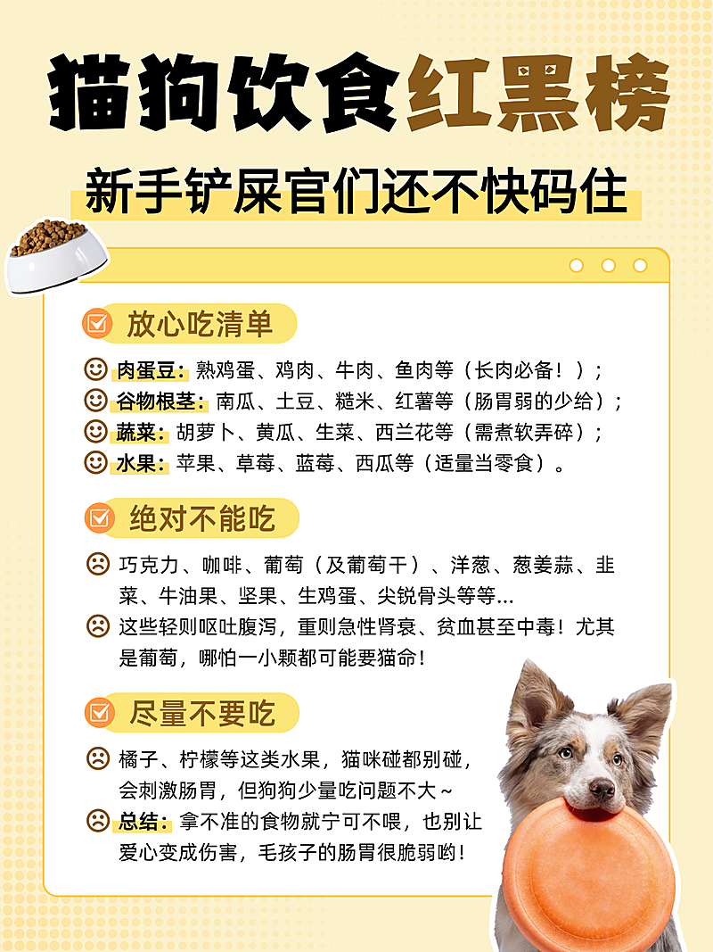 扁平风猫狗饮食红黑榜知识分享小红书配图