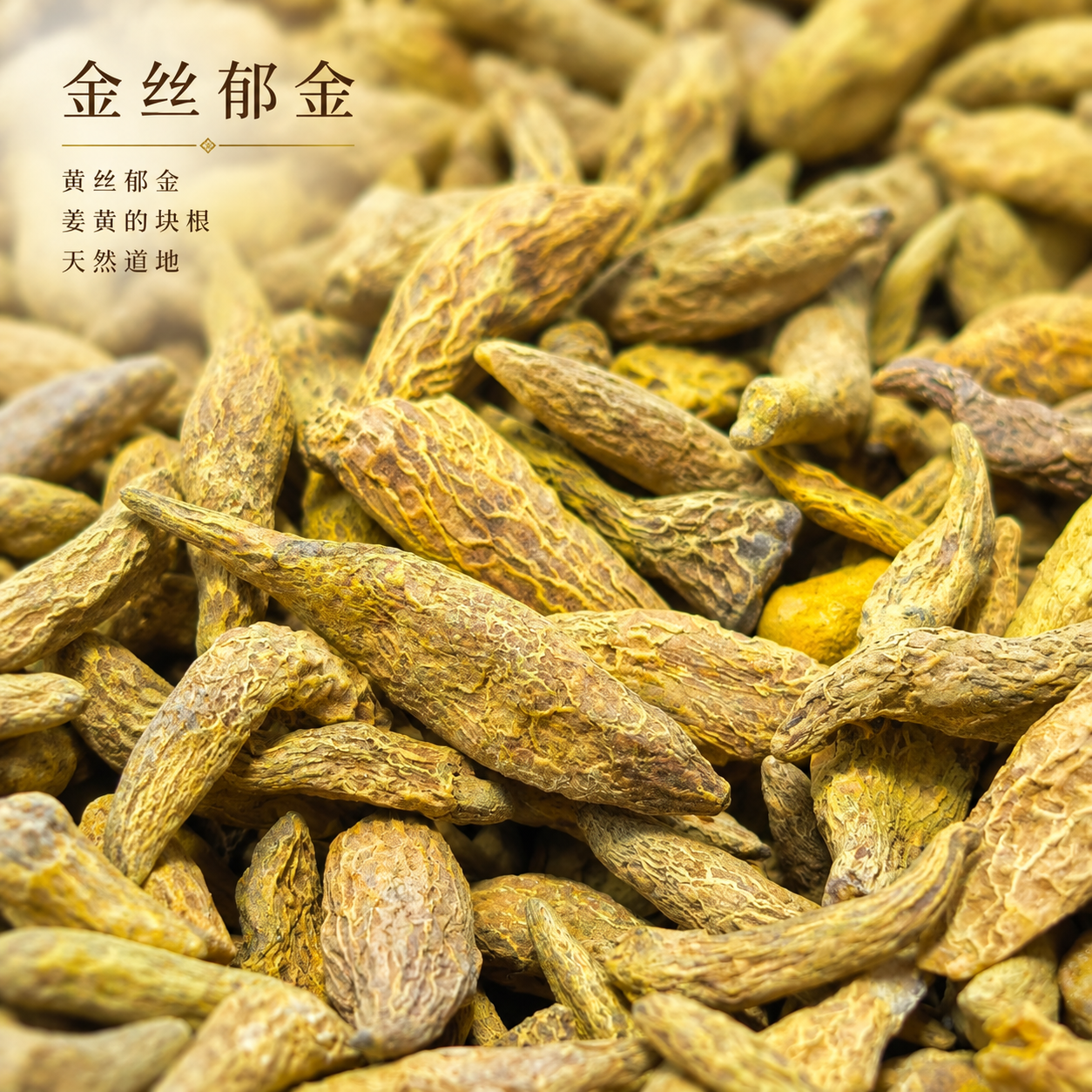 基于上传的金丝郁金素材进行主图创作，严格使用上传素材，保持所有… - 图片创意预览