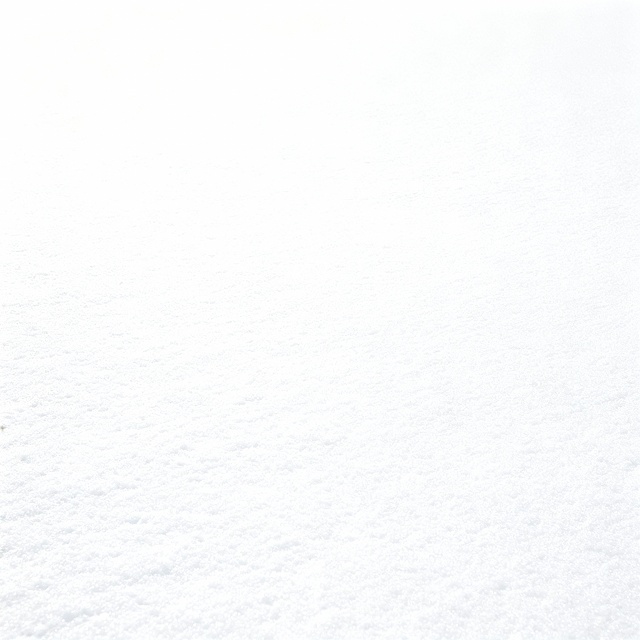 雪白色背景图片
