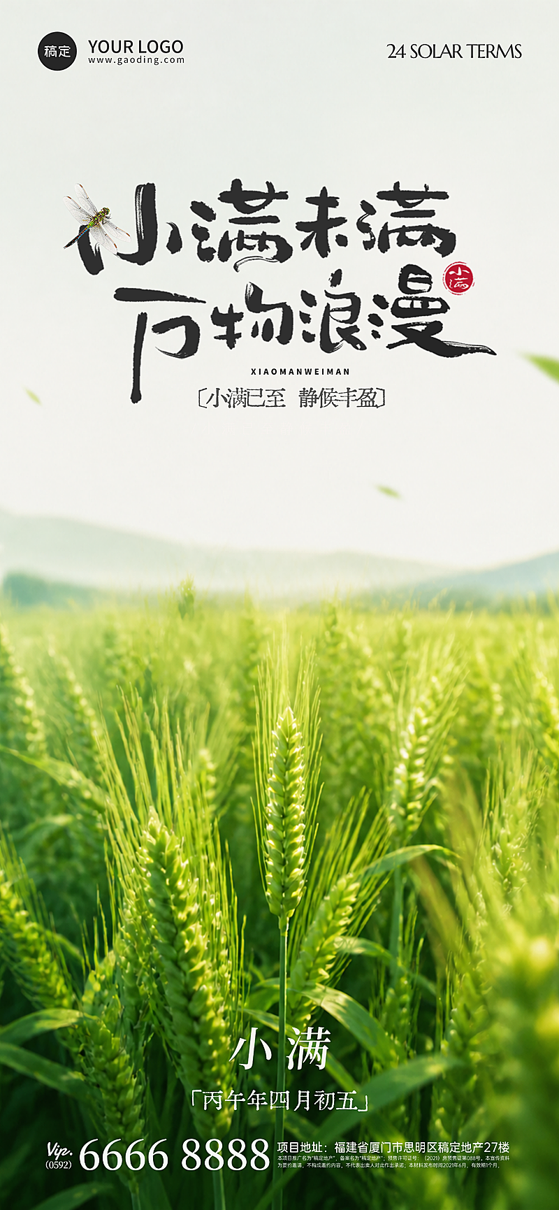小满节气科普全屏竖版海报