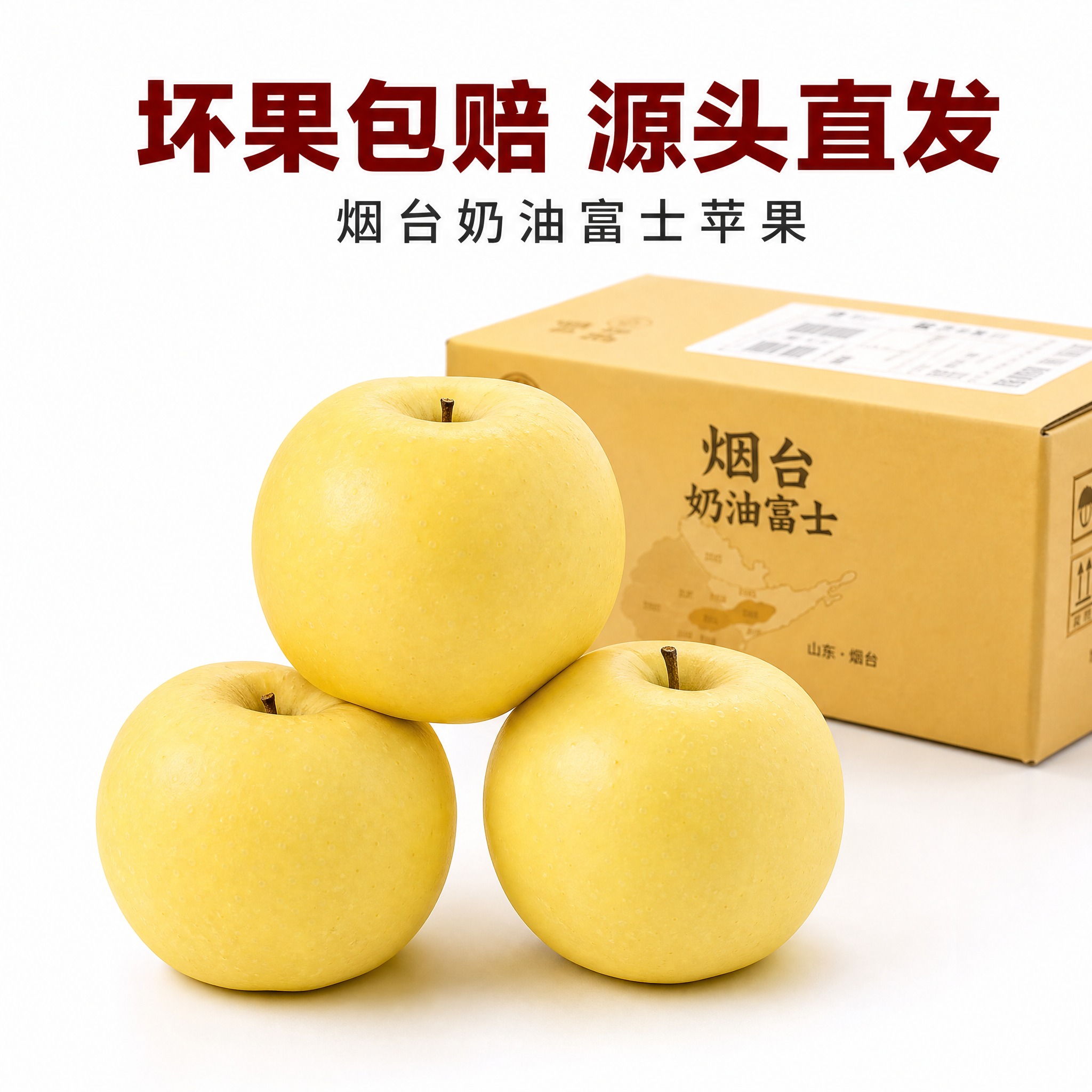 [主图-10] 坏果包赔 源头直发。京东电商主图，800×80… - 图片创意预览