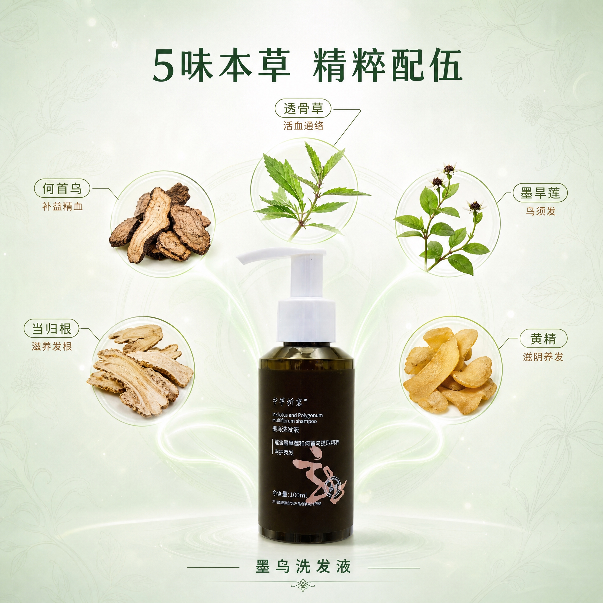 [主图-2] 核心成分解析，展示墨乌洗发液的5味核心本草成分及… - 图片创意预览