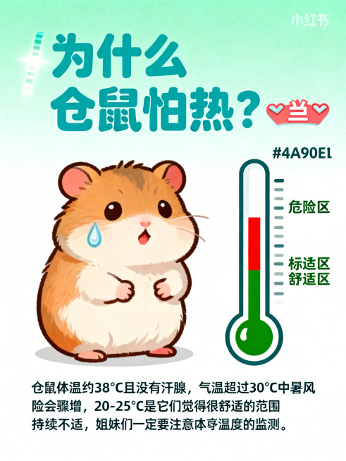 小红书科普图文封面，整体左边是一个Q版流汗的可爱小仓鼠，右边放置一个温度计图示，温度计上用红色标记出危险区，绿色标记出舒适区。顶部标题文字为"为什么仓鼠怕热？🌡️"，标题字体圆润清爽，颜色#4A90预览效果