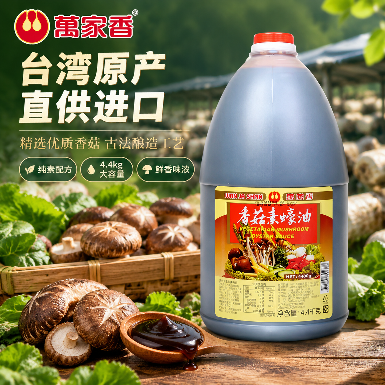 [主图-3] 原料产地溯源风，核心任务是展示台湾进口身份与香菇… - 图片创意预览