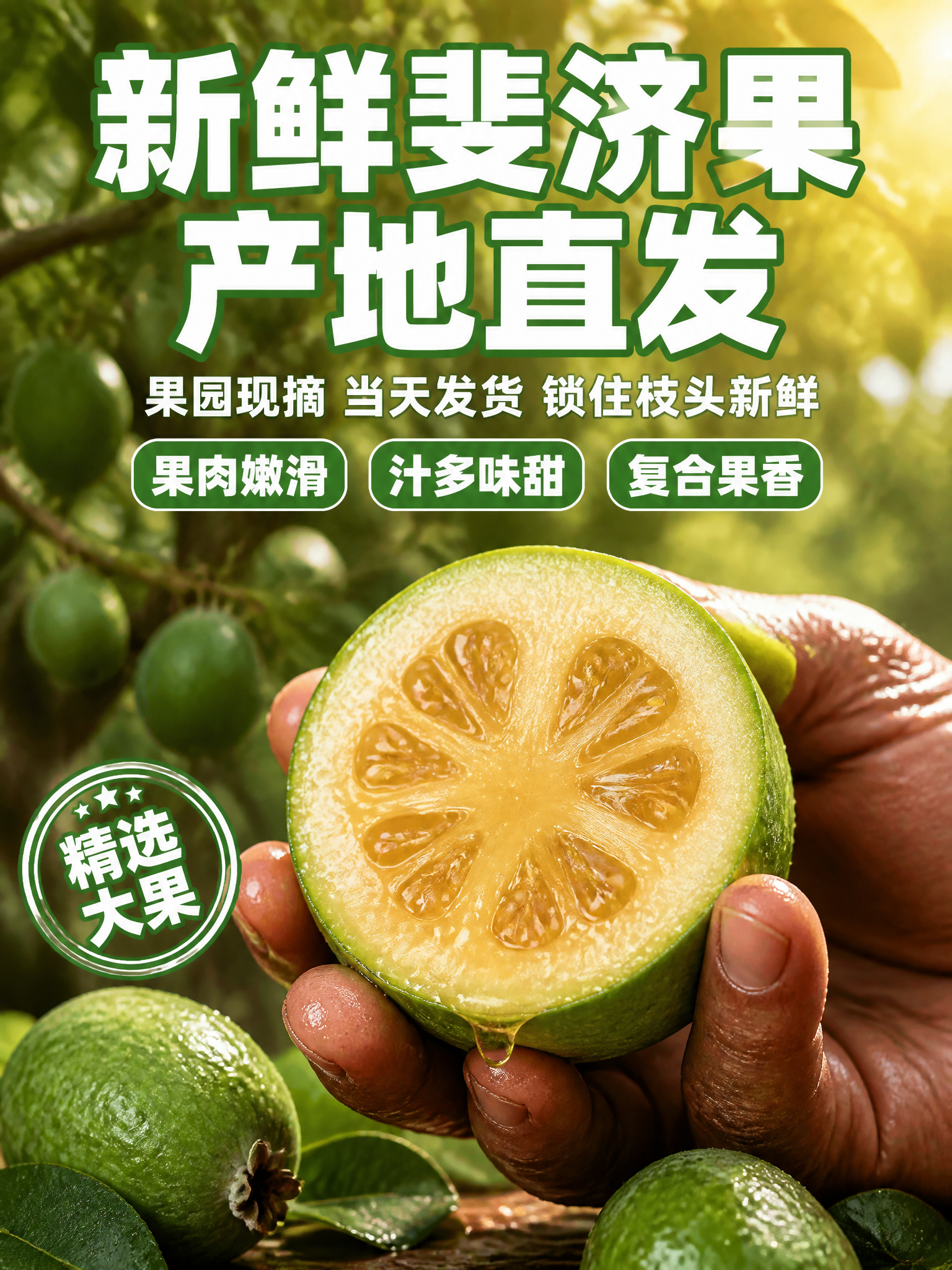 [商品] 使用【图1】挂枝斐济果、【图5】切面斐济果；保留斐济… - 图片创意预览