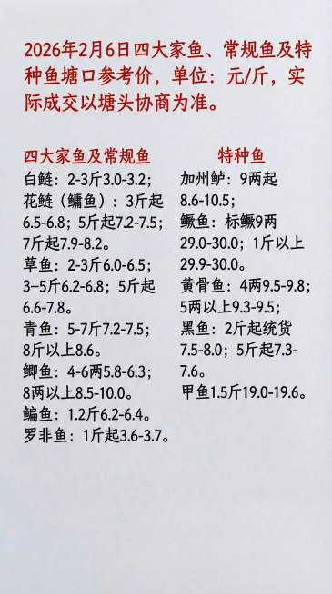 预览效果