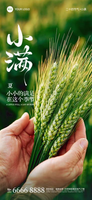 小满节气手捧麦穗实景海报预览效果