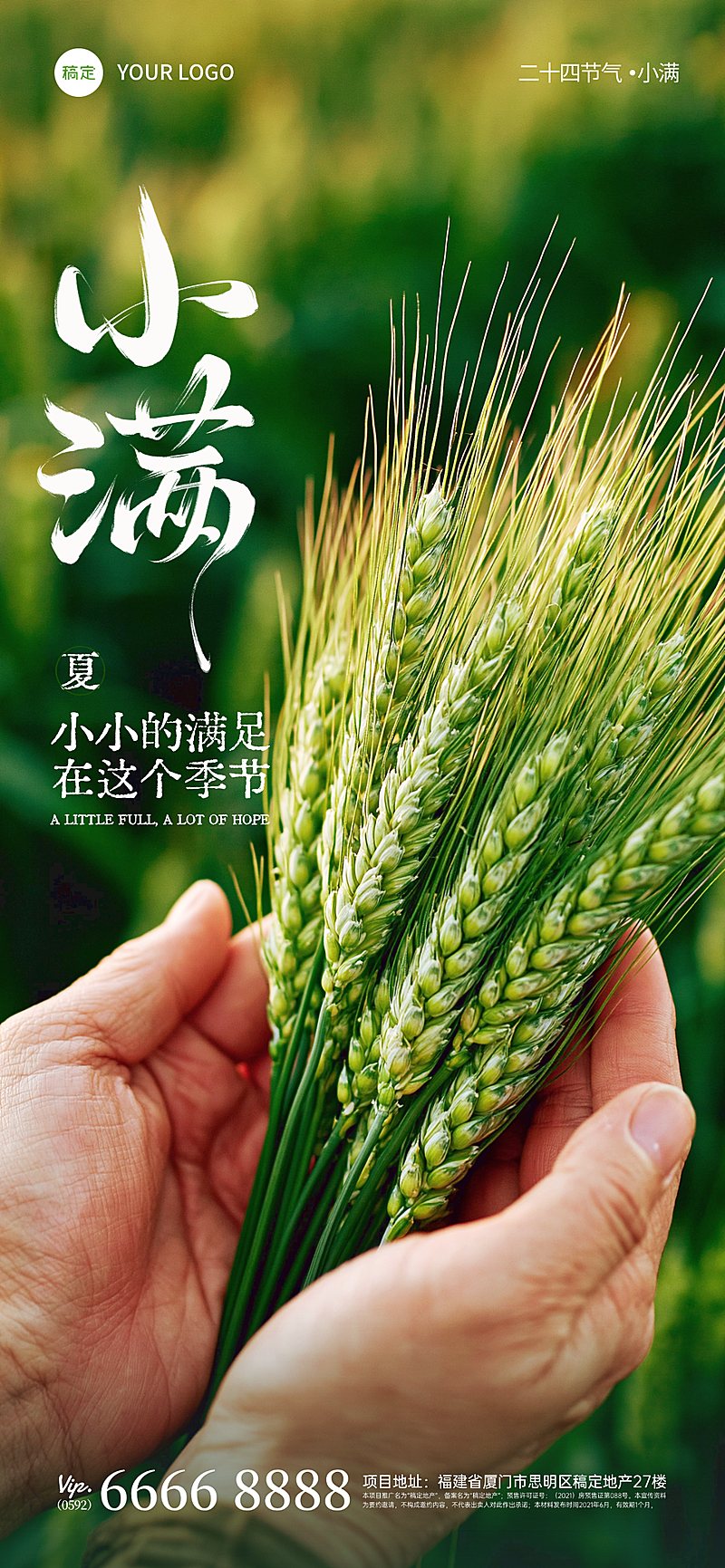 小满节气手捧麦穗实景海报