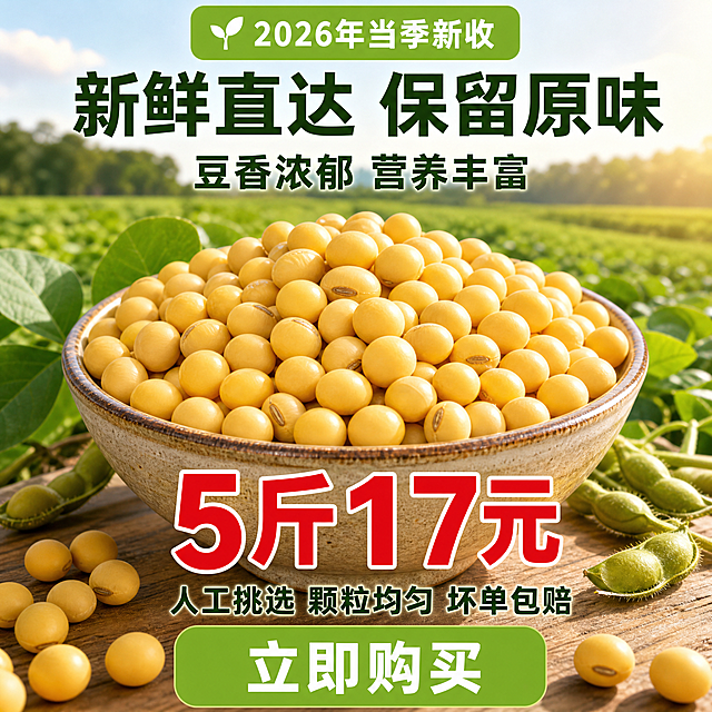 [主图-4] 陶瓷碗盛放黄豆，田园背景。[氛围风格] 自然清新农产品风格，食欲感，新鲜度。[画质] 商业摄影质感，光线柔和通透，产品清晰真实，画面干净高级。[元素] 陶瓷碗装着金黄圆润的新鲜黄豆放置在画面中下部，背景是自然开阔的田园风光，豆粒大小均匀饱满，展现黄豆质感。商品主体占比严格控制在60%-80%之间，画面满屏无边框。保持黄豆外观色泽与描述一致，杜绝任何变形和色差，精细化处理。[光影] 自然暖阳逆光，突出黄豆的金黄通透色泽，光线柔和自然，清晰展示颗粒纹理，暗部有层次，高光不溢出。[配色] 主色调为绿色田园背景，搭配黄豆自然金黄色，顶部和底部采用绿底(#8BC34A)，文字使用指定色值。[视角构图] 平视角度，景深适中，主体居中突出。[文字版式] 严格按照指定排版：顶部居中，高70px圆角矩形绿底(#8BC34A)，白色35号字写"🌱 2026年当季新收"；上半部分居中，深绿色(#33691E)85号字写主标题"新鲜直达 保留原味"；主标题下方居中，深绿色(#33691E)48号字写副标题"豆香浓郁 营养丰富"；中下部居中，红色(#C62828)125号字带2px白描边写"5斤17元"；价格下方居中，深绿色(#33691E)36号字写"人工挑选 颗粒均匀 坏单包赔"；底部居中，高90px圆角矩形绿底(#8BC34A)，白色40号字写"立即购买"。字体统一使用思源黑体 Bold，所有文字清晰可辨，文字占比≤30%，不遮挡主体。[比例分辨率] 1:1比例，750×750px，2K分辨率，文字清晰锐利，画面超高清。[负向提示词] 变形，水印，文字错乱，产品模糊，背景杂乱，色差，文字遮挡主体