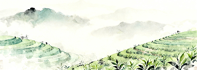 保留原图淡雅国风风格，移除前景的大碗元素，保留原有的淡绿色茶山和云雾山水背景，去掉周围的画卷元素，扩展背景内容保持风格统一