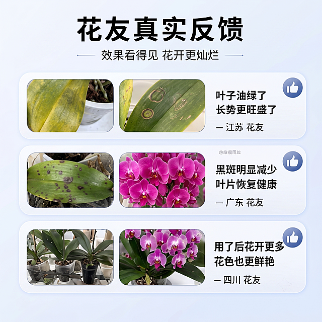单独裁切保留原图片左下部分，内容为花友真实反馈：标题“花友真实反馈”副标题“效果看得见 花开更灿烂”，展示三条花友使用反馈对比图和评价。保持原文字和图片内容不变，只保留左下区域，尺寸为正方形。