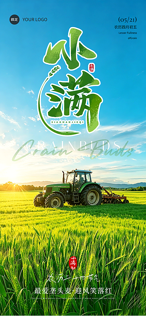 小满节气水墨风小麦实景田野全屏海报 #小满