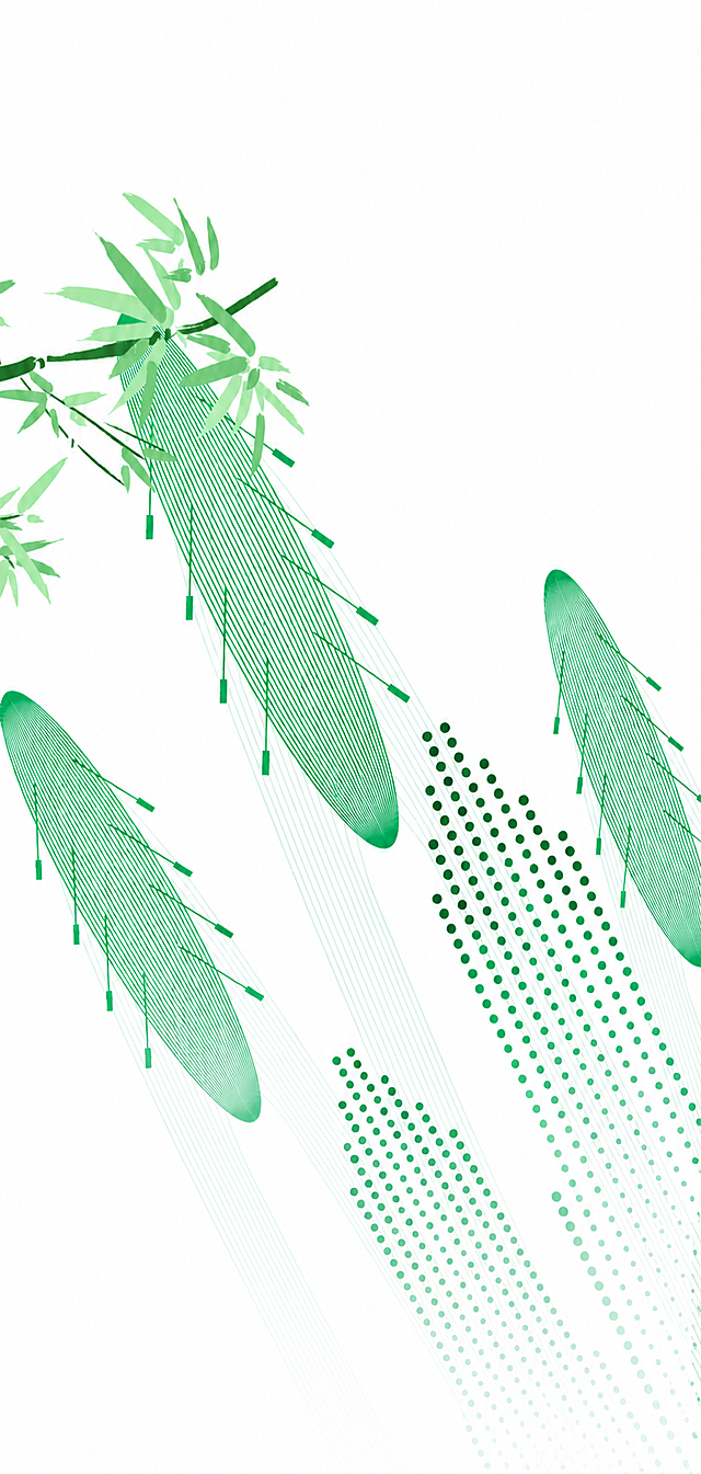 将图片背景修改为纯白色，保留所有绿色的几何线条龙舟、竹叶元素，其他设计保持不变