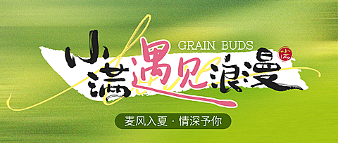 小满遇见浪漫公众号首图
