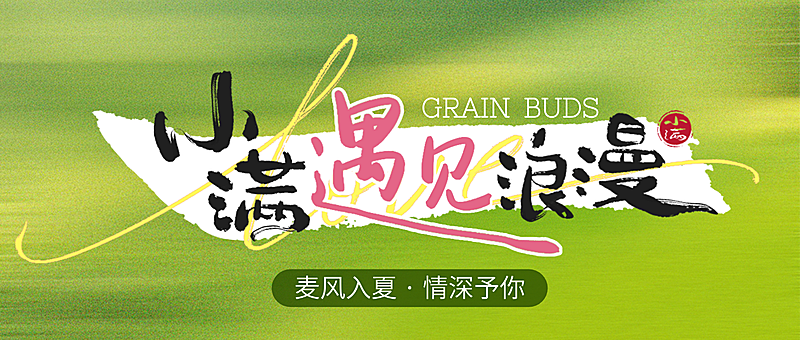 小满遇见浪漫公众号首图