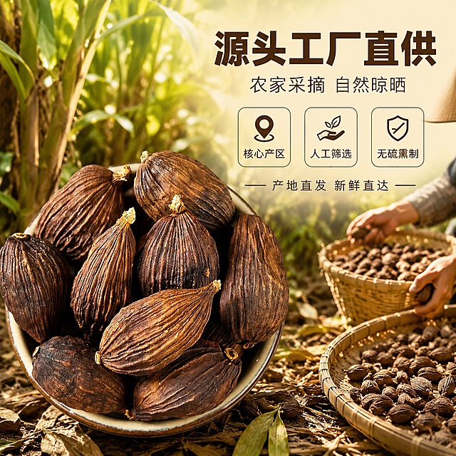 [主图-2] 草果产地溯源与核心亮点图 信任型
[氛围风格] 产地源头感 农家真实采摘场景 质朴可信
[画质] 商业摄影质感 光线自然真实 产品清晰 画面有故事感
[元素] 画面左侧前景为粗陶碗装草果特写 颗粒饱满纹理清晰 右侧及背景为虚化的云南/广西农家果园采摘场景 能看到草果树 竹篮 戴草帽的农民手部采摘动作（仅手部和竹篮 不出现完整人脸） 地面散落草叶 竹编簸箕里晒着草果 保持草果外观与输入产品图一致 杜绝变形色差 草果主体占比约55% 画面满屏无边框
[光影] 上午自然阳光 柔和侧光 树叶间光斑洒落 整体暖调明亮 有真实户外晒场光感 草果表面纹理清晰
[配色] 主色调暖棕 土黄 绿色 辅色米白 竹编原色
[视角构图] 平视微俯 左实右虚 前景草果清晰 背景采摘场景虚化 形成空间纵深感
[文字版式] 右上负空间右对齐 主标题大字"源头工厂直供" 粗黑体深棕色 下方辅助文字"农家采摘 自然晾晒" 半高细体 再下方数据式展示"核心产区" "人工筛选" "无硫熏制" 三个小方块横向排列 每块上方图标下方文字 底部一行小字"产地直发 新鲜直达" 文字均不遮挡草果主体
[输出要求] 1:1比例 文字清晰锐利 超高清商业摄影质感
[负向提示词] 变形 文字错乱 产品模糊 背景杂乱 水印 电商平台Logo 多余手指 畸形手 面部扭曲