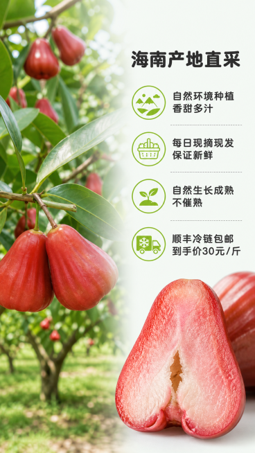 [第2屏] 产地果园与核心卖点展示屏。
[氛围/风格] 原生态果园风，实景拍摄质感，自然清新，突出产地新鲜度。
[元素布局] 左侧三分之二区域放置虚化的莲雾果园实景背景，能看到绿叶和挂在枝头的莲雾，右预览效果