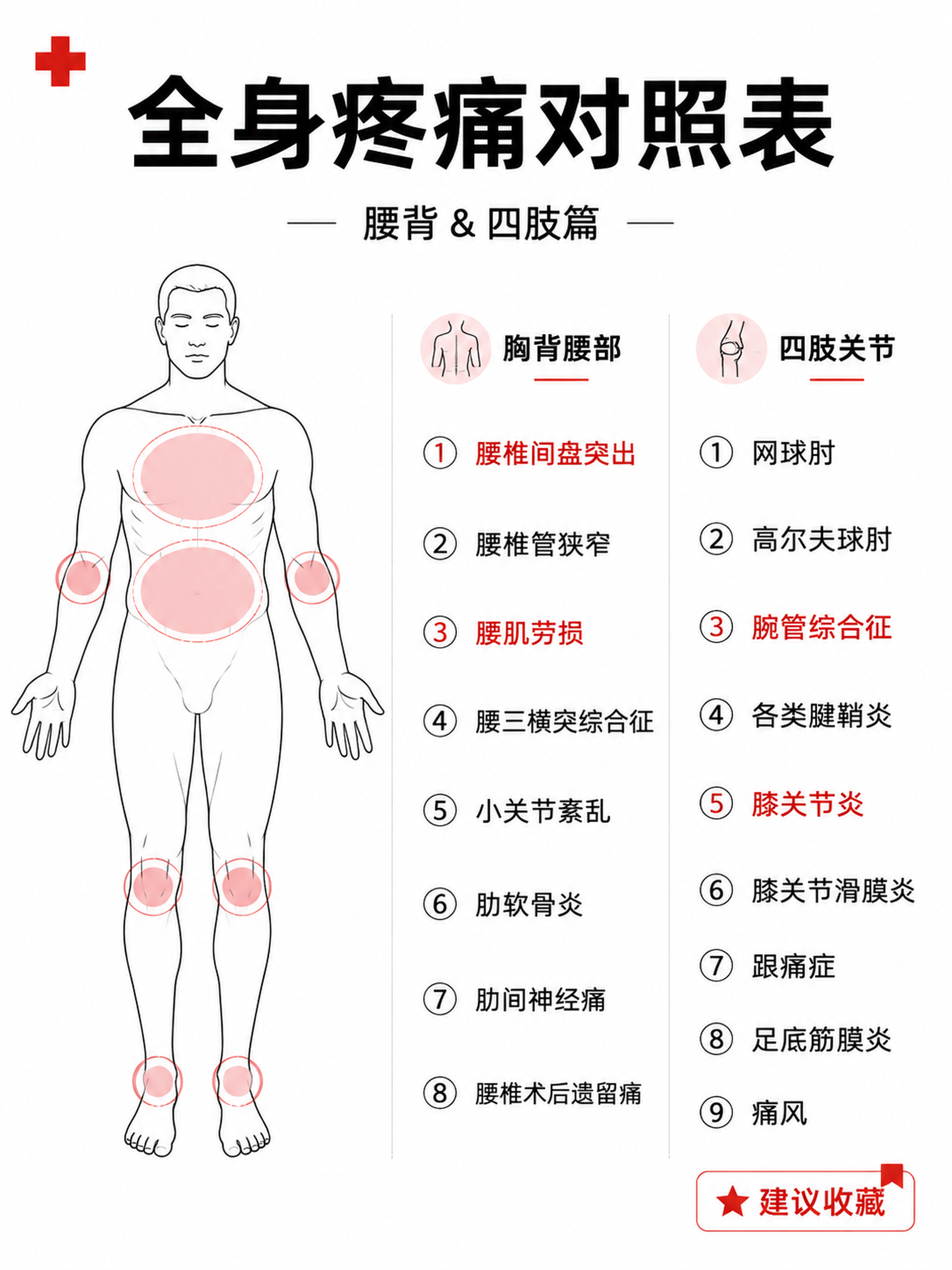小红书科普配图，白底分栏清单风格，ins清新医学风，版式精美，… - 图片创意预览