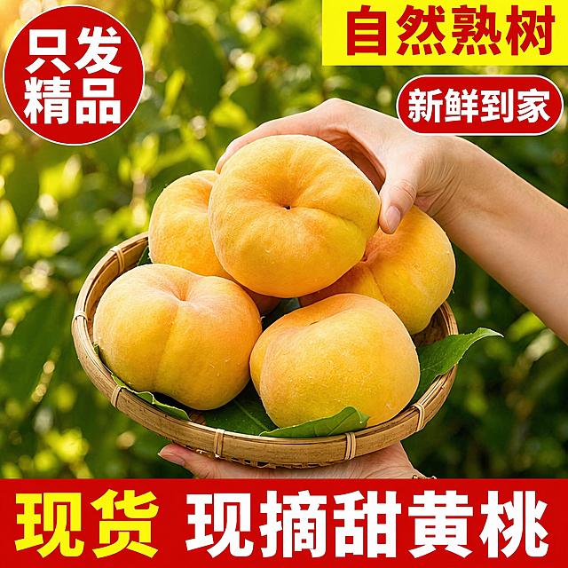 [单张主图] 新鲜黄毛蟠桃电商主图，爆款促销感路线，同时突出食欲和新鲜度。
[参考比对] 参考图为顶部黄色条、左上角红色圆标、右侧红色圆角标签、底部红色通栏大字的版式，生成时严格沿用该排版结构和配色逻辑：左上角红色圆形白色文字，顶部右侧黄色底红色文字，底部红底黄白大字，右侧红色底白色文字。
[画面主体] 主体为竹篮中盛放的五颗黄毛蟠桃，由双手托举展示，保持桃子外观、形状、颜色、纹理与输入产品图https://1.jpg绝对一致，杜绝任何变形和色差，精细化处理桃皮绒毛和色泽；商品主体占画面约60%，位于画面中心位置。
[构图版式] 采用顶部大标题型爆款版式，严格沿用参考图结构：顶部信息区、中部产品展示区、底部信息通栏，分区清晰不遮挡主体。
[场景元素] 背景为虚化绿色果树叶，自然清新突出桃子新鲜，无需额外多余道具；信息块位置与参考图一致：左上角圆形标签，顶部右侧横条，右侧圆角标签，底部通栏。
[文案版式] 左上角红色圆内白色文字："只发精品"，顶部黄色块红色文字："自然熟树"，右侧圆角红色块白色文字："新鲜到家"，底部红色通栏，左侧黄色大字"现货"，右侧白色大字"现摘甜黄桃"，所有文字清晰可读，无遮挡，文字颜色对比强烈醒目。
[光影质感] 自然暖阳逆光，突出桃子金黄通透的色泽，光线柔和通透，产品清晰真实，商业摄影质感，背景虚化景深适中，桃子表面有自然光泽和绒毛细节，真实诱人。
[配色字体] 主色调为桃子金黄+促销红色+背景翠绿，高饱和对比，醒目吸引点击；字体为粗黑无衬线，主标题字号最大，辅助标签文字缩小，对比分明。
[比例分辨率] 1:1 比例，2048x2048像素，2K分辨率，文字清晰可辨。
[负向提示词] 变形，文字错乱，产品图模糊，背景杂乱，水印，电商平台Logo，错字，糊字，主体遮挡