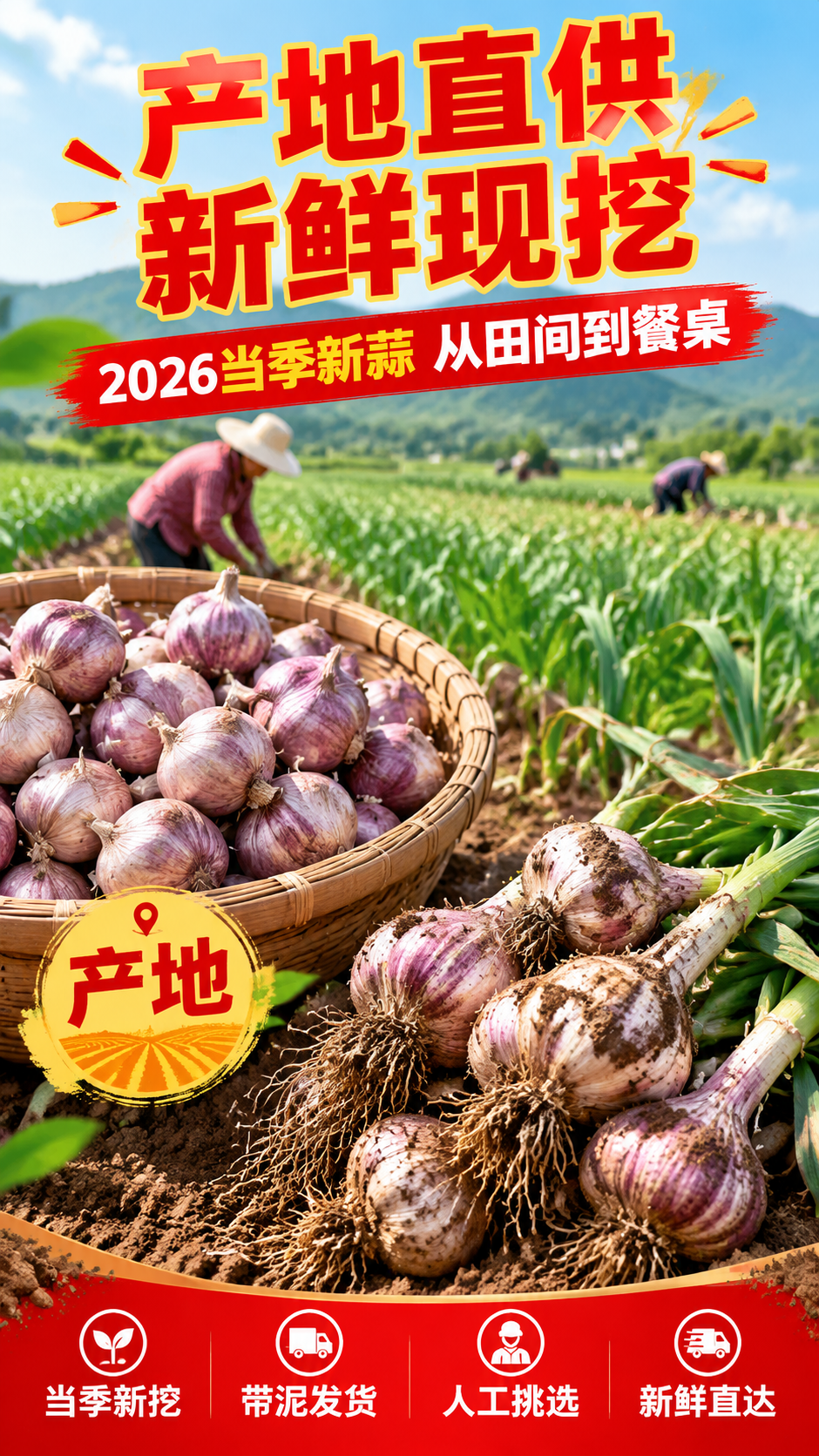 [商品] 使用【图1】紫皮大蒜；保留紫皮蒜外观特征；本张为产地… - 图片创意预览