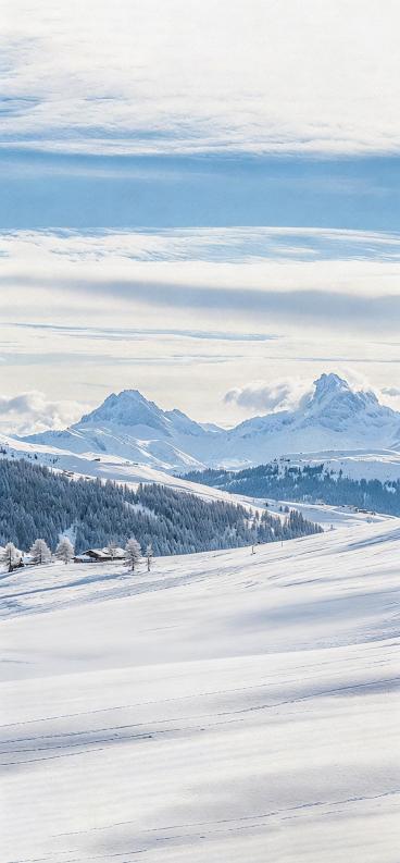 去除画面中的两个木屋，保留其余雪景、山林、远山和天空的所有元素，保持整体画面风格和光影一致预览效果