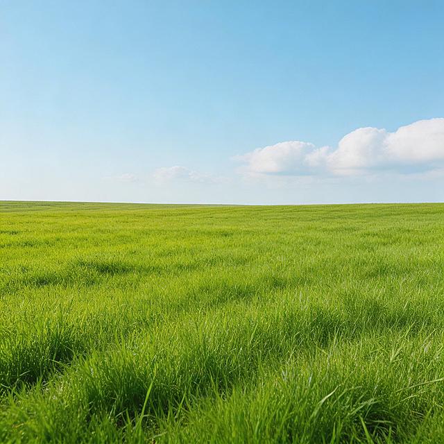 草