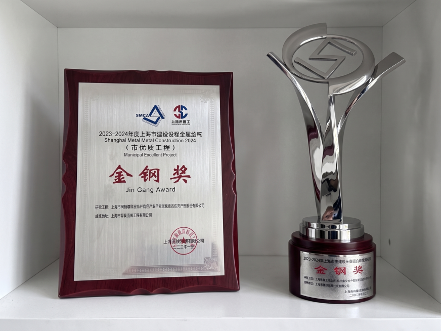 生成一组'单奖杯+单证书'的陈列图：一个银色金属奖杯（顶部有'S'形标志，底座为深红色木质）与一张装裱在深红色木质相框中的证书并列摆放；背景为浅灰色，下方是白色置物架；光线柔和，高清写实风格；参考图中预览效果