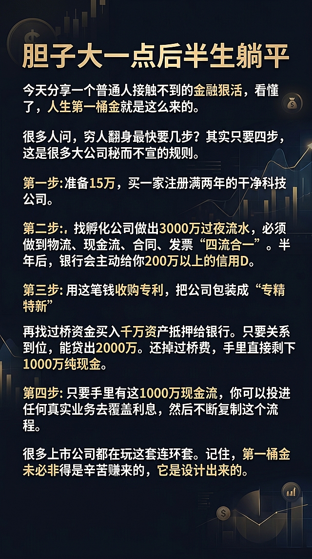 保留原图片所有文案内容不变，文案为：
胆子大一点后半生躺平
今天分享一个普通人接触不到的金融狠活，看懂了，人生第一桶金就是这么来的。
很多人问，穷人翻身最快要几步?其实只要四步，
这是很多大公司秘而不宣的规则。
第一步:准备15万，买一家注册满两年的干净科技公司。
第二步:。找孵化公司做出3000万过夜流水，必须做到物流、现金流、合同、发票“四流合一”。半年后，银行会主动给你200万以上的信用D。
第三步:用这笔钱收购专利，把公司包装成“专精特新”
再找过桥资金买入千万资产抵押给银行。只要关系到位，能贷出2000万。还掉过桥费，手里直接剩下1000万纯现金。
第四步:只要手里有这1000万现金流，你可以投进任何真实业务去覆盖利息，然后不断复制这个流程。
很多上市公司都在玩这套连环套。记住，第一桶金未必非得是辛苦赚来的，它是设计出来的。
生成小红书图文卡片，深色金融风格，深色背景搭配浅色醒目文字，文案排版整齐清晰，保留全部文案内容不变，高端商务质感