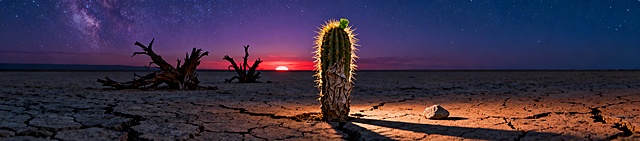 沙漠绿洲
最终交付格式：1张横版海报，尺寸：长50 × 高11，分辨率300DPI，深蓝紫色夜空背景。
核心主题：用一片极端干旱的荒漠，象征2025年极度“缺水”（缺现金流）的市场环境。通过“依然存活”与“已经枯死”的植物形态对比，直观呈现“我们艰难，但同行更艰难”的生存状态。
视觉要求：

构图与视角：

视角：超低角度平视，略微仰视植物，使其在天空背景下显得更具生命张力。

构图：利用超宽画幅，营造地平线的延伸感。一株形态顽强、带刺的仙人掌作为前景主体，占据画面一侧。

色调与氛围：

主色调：深蓝紫色的夜空（有细微的星云或渐变），焦糖色与灰黑色的龟裂大地。

光源：光源来自画面一侧的地平线，是落日余晖的最后一道金色或暗红色光，低角度地照亮仙人掌和枯木的轮廓，形成长长的影子，天空大部分区域是深邃的蓝紫色。

核心细节（生命与死亡的对比）：

前景生命体：一株仙人掌，虽然表面干涩有皱褶，但整体挺拔，顶端甚至有一小块新绿或一朵将开未开的小花，被侧逆光勾勒出金色的毛刺轮廓。

背景参照物：在这株仙人掌的后方及远处，散落着2-3株已经完全枯槁、扭曲、甚至断裂的仙人掌或枯木残骸，在逆光下呈剪影或深褐色，形态狰狞。

环境：大地是严重龟裂的，裂缝深邃。可以有一两颗滚落的干涸石块。

整体感觉：悲壮、苍凉、但蕴含着一股顽强的生命力。画面不是要展示生机勃勃，而是要突出 “在绝境中，相对的生命力就是最大的资本” 。深色天空与侧光让形态对比无比清晰，寓意深刻。