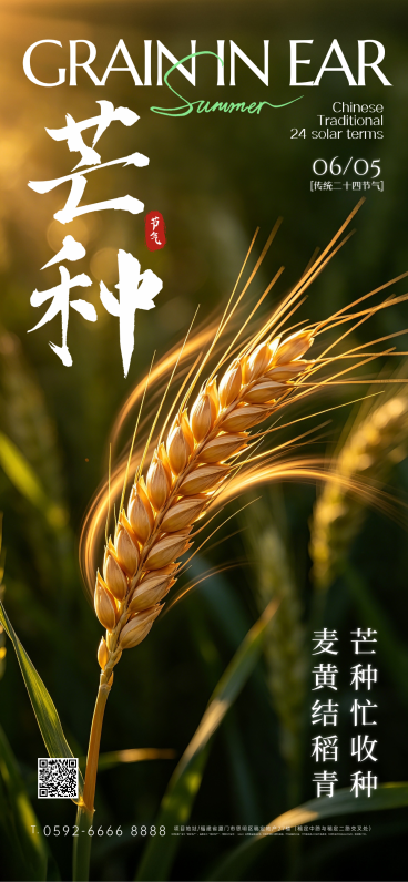 芒种节日祝福唯美实景感通用全屏竖版海报预览效果