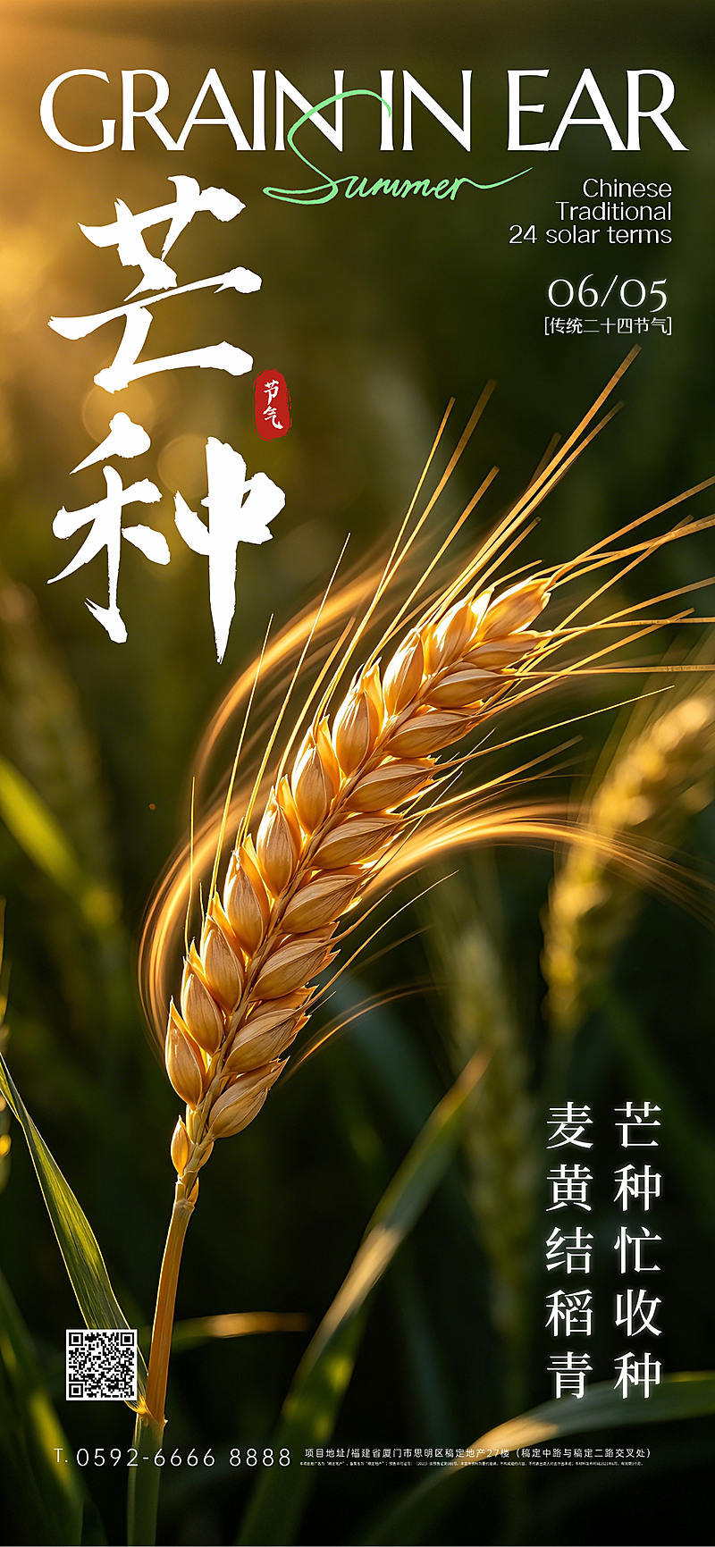 芒种节日祝福唯美实景感通用全屏竖版海报