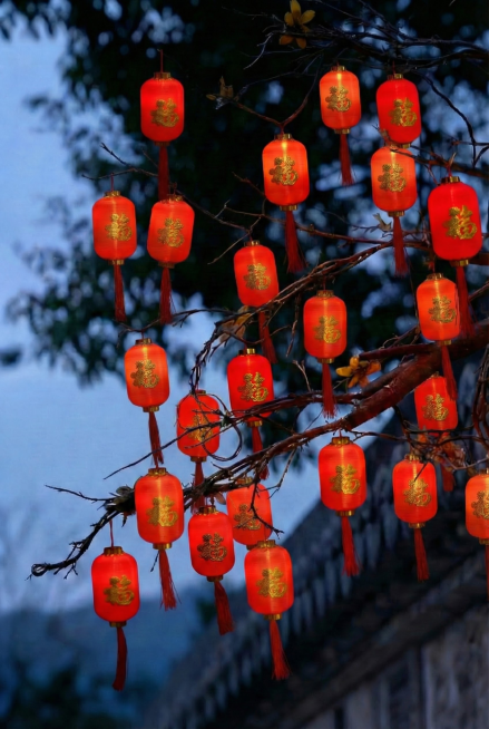 灯笼再密集一点，顺着枝条高低错落分布，间距自然，预览效果