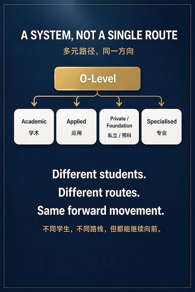 在参考图基础上进行修改：移除页面底部多余的五个图标+文字模块（多元选择、量身规划、衔接未来、持续支持、致胜大步）以及最底部的"同一方向·不同路径·向前不止步"文字，消除这些额外添加的内容。将中间的标语部分（"Different students. Different routes. Same forward movement." 及其下方中文翻译）向下移动，在页面中垂直居中排版，使整体布局更加均衡。顶部标题、O-Level金色按钮、四个路径卡片（Academic/Applied/Private Foundation/Specialised）及金色箭头连接线完全保留原样。整体仍为深蓝渐变背景+金色外边框+白色主文字+金色点缀，A4竖版，高端专业风格。