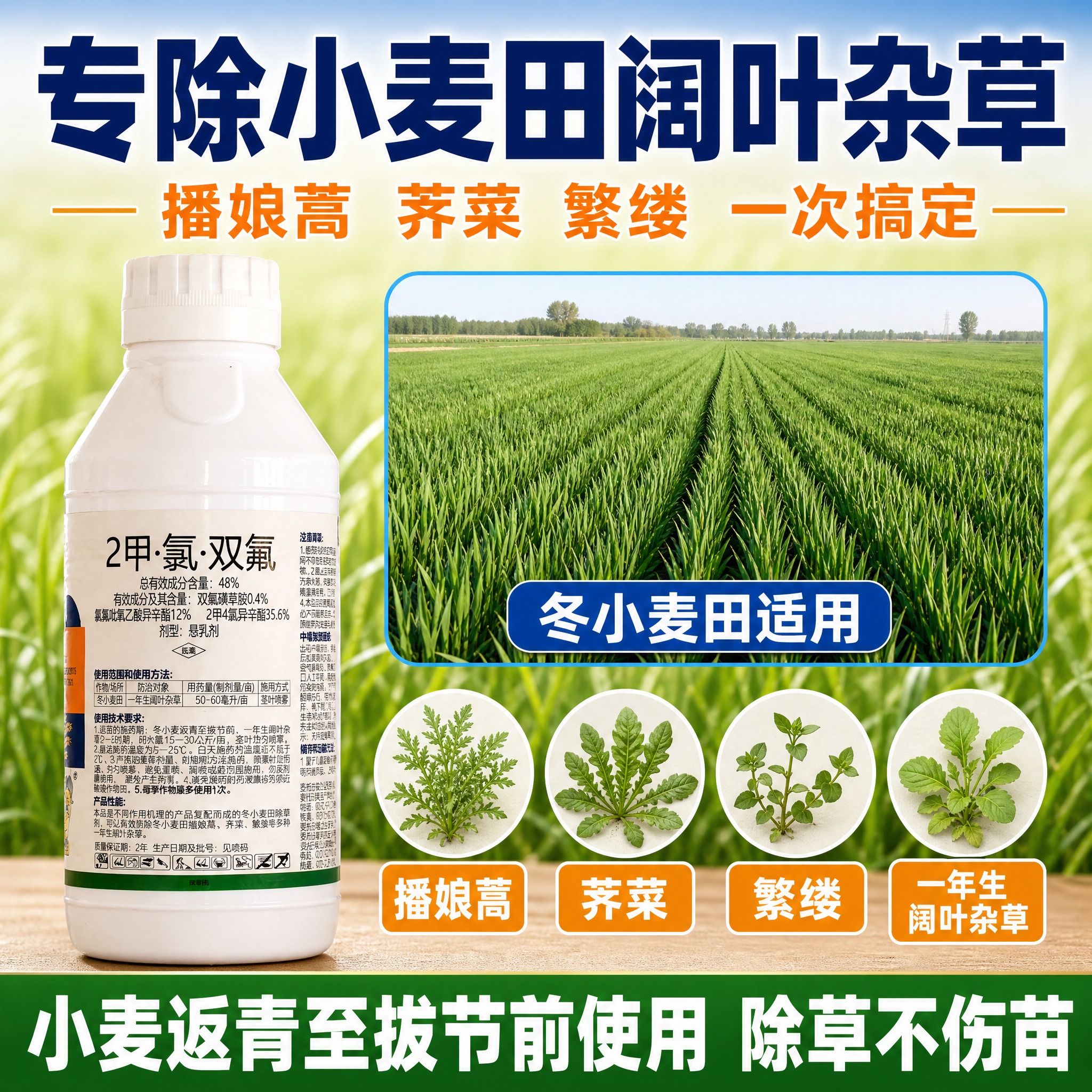[主图-3] 48% 2甲·氯·双氟 小麦田除草剂（800克装… - 图片创意预览